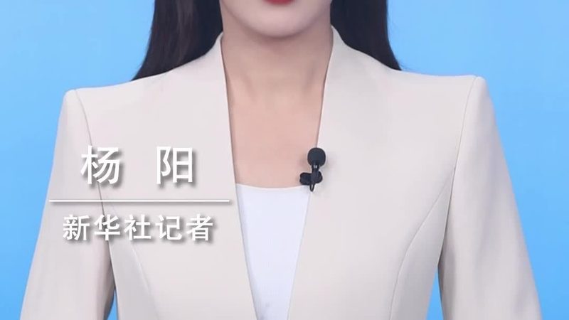 SAAS平台代理加盟：技术参数要求的解析与考量